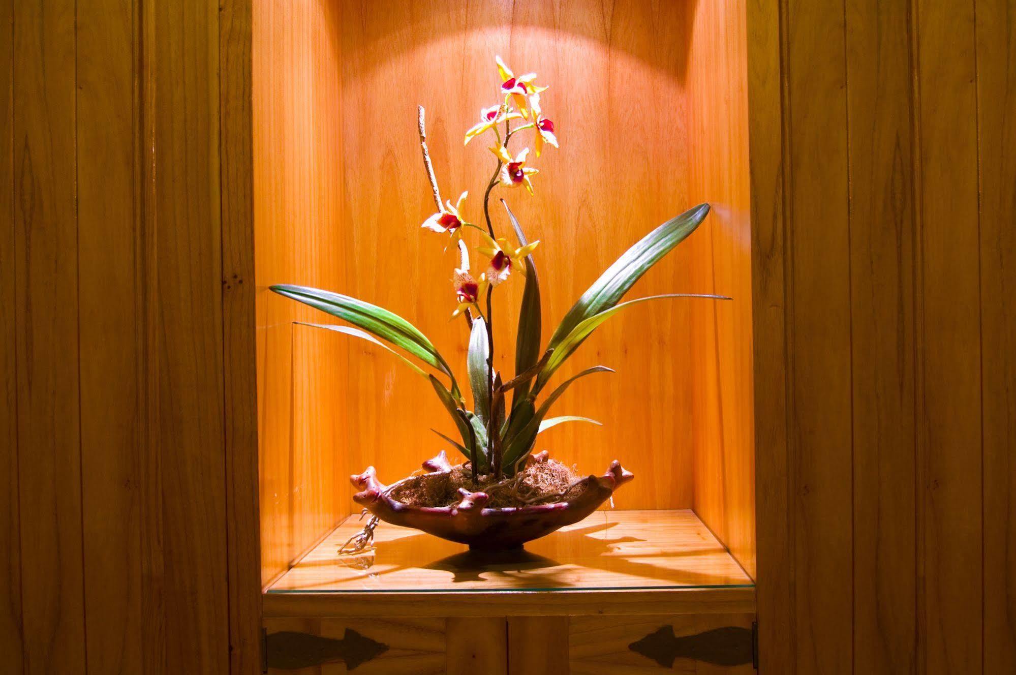 Hotel Las Margaritas Asuncion Extérieur photo
